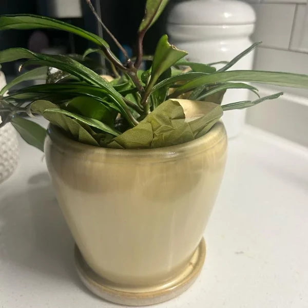 Ceramic Planter with Reactive Glaze – Beige, 6″