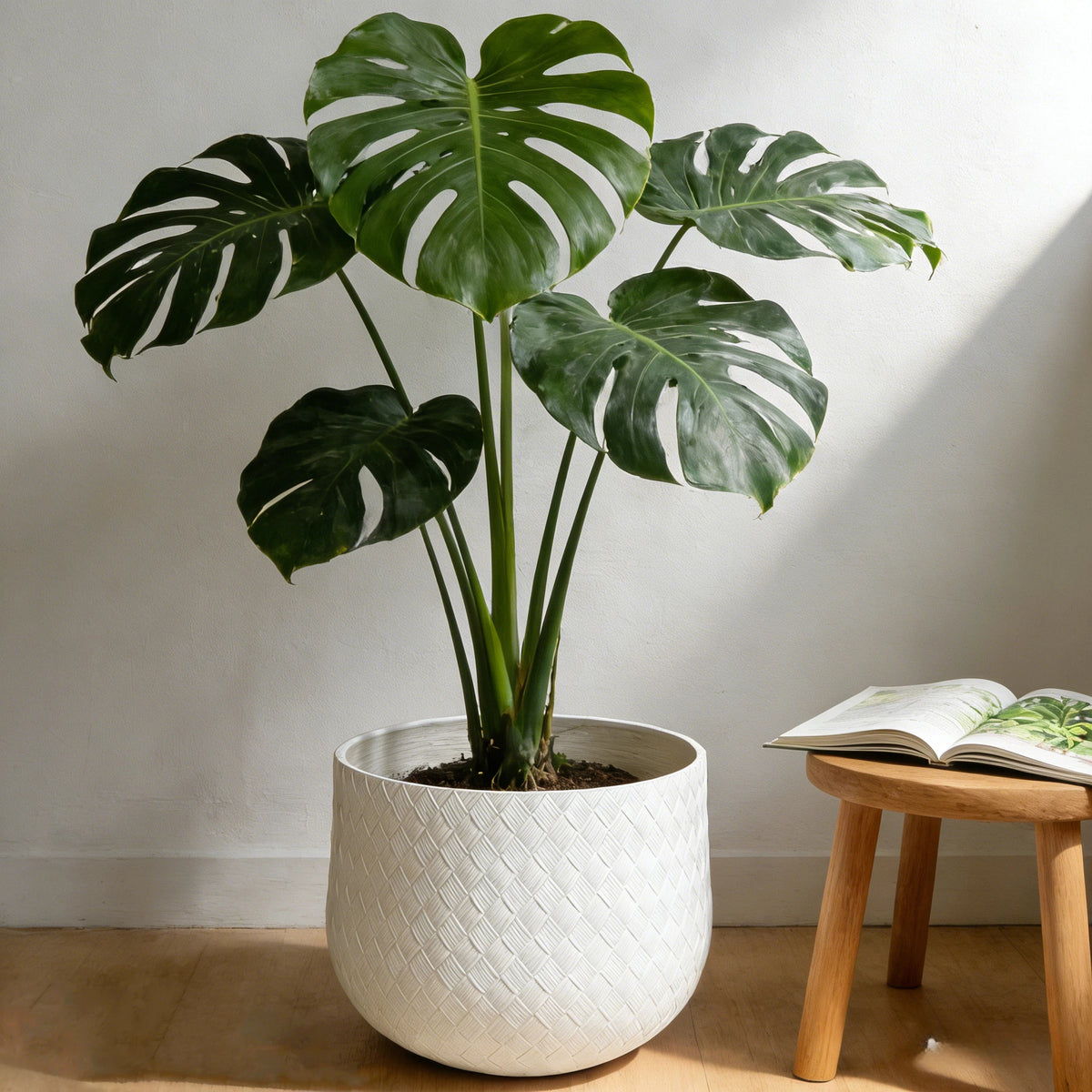 Set of 3 Woven-Texture Round Planters – White