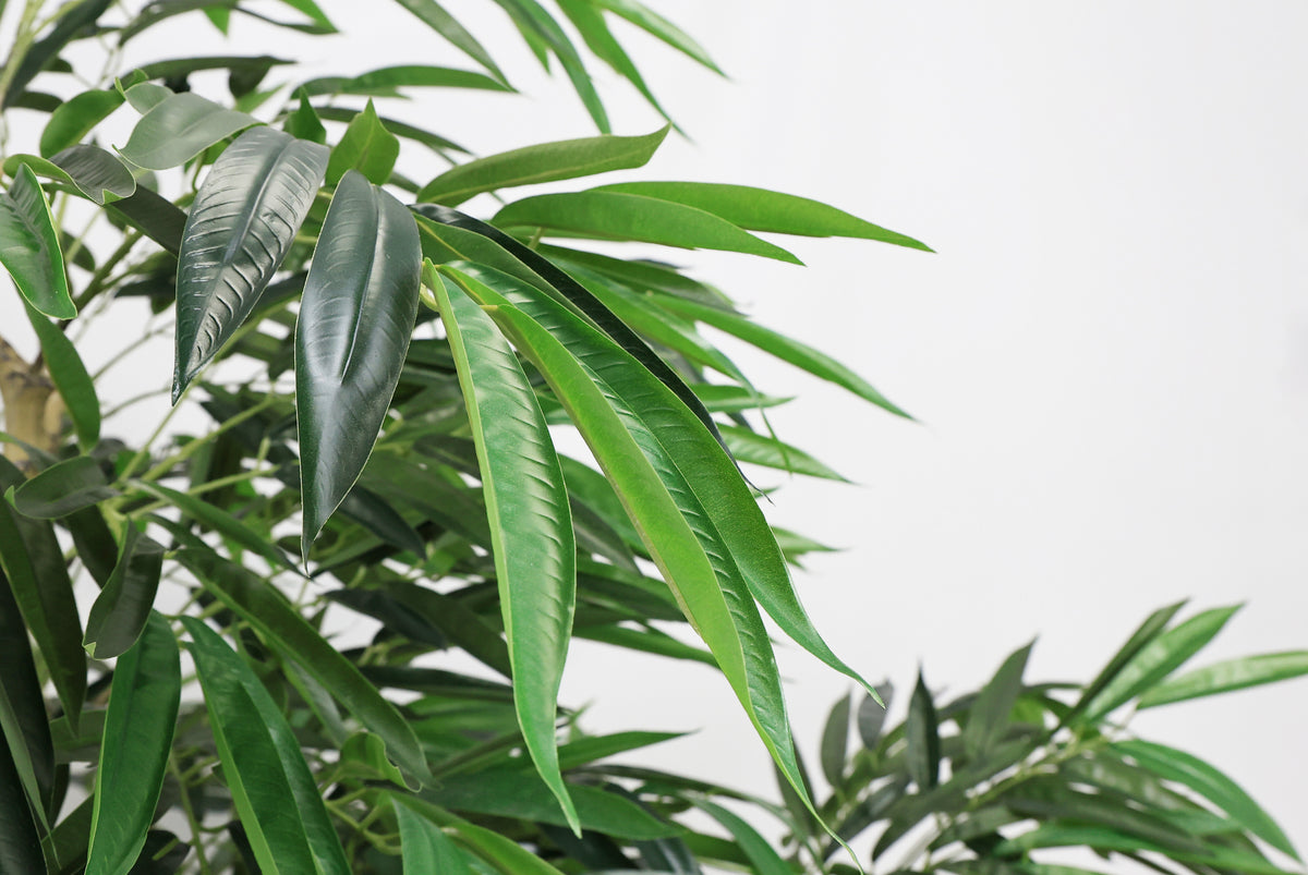7′ Artificial Willow Tree in Black Pot
