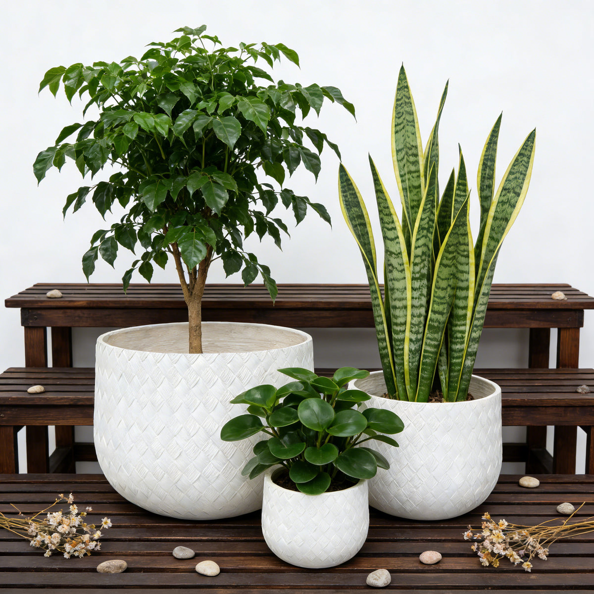 Set of 3 Woven-Texture Round Planters – White – White