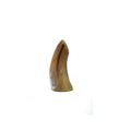 Ankole Vase 05-0