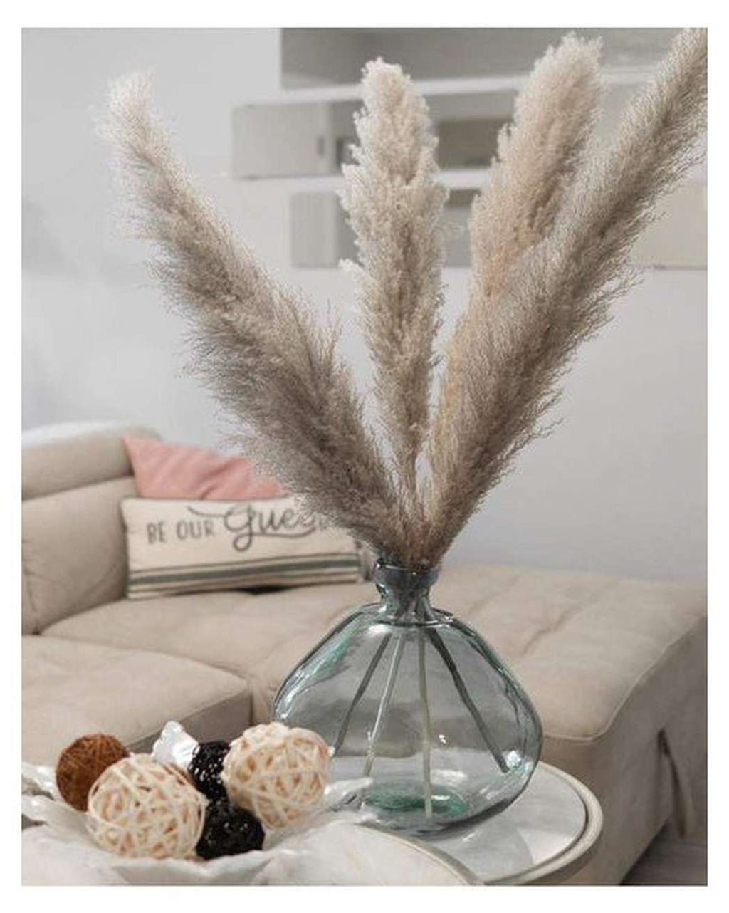 Cool Grey Pampas Grass-3