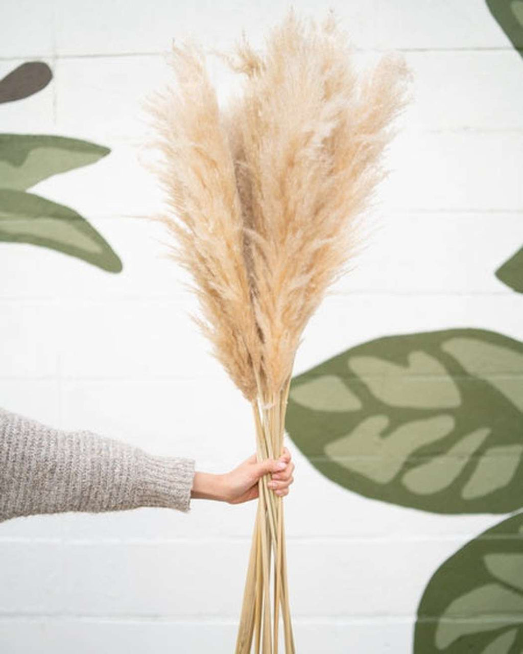 Tuscan Desert Cream Beige Extra Fluffy Pampas Grass-2