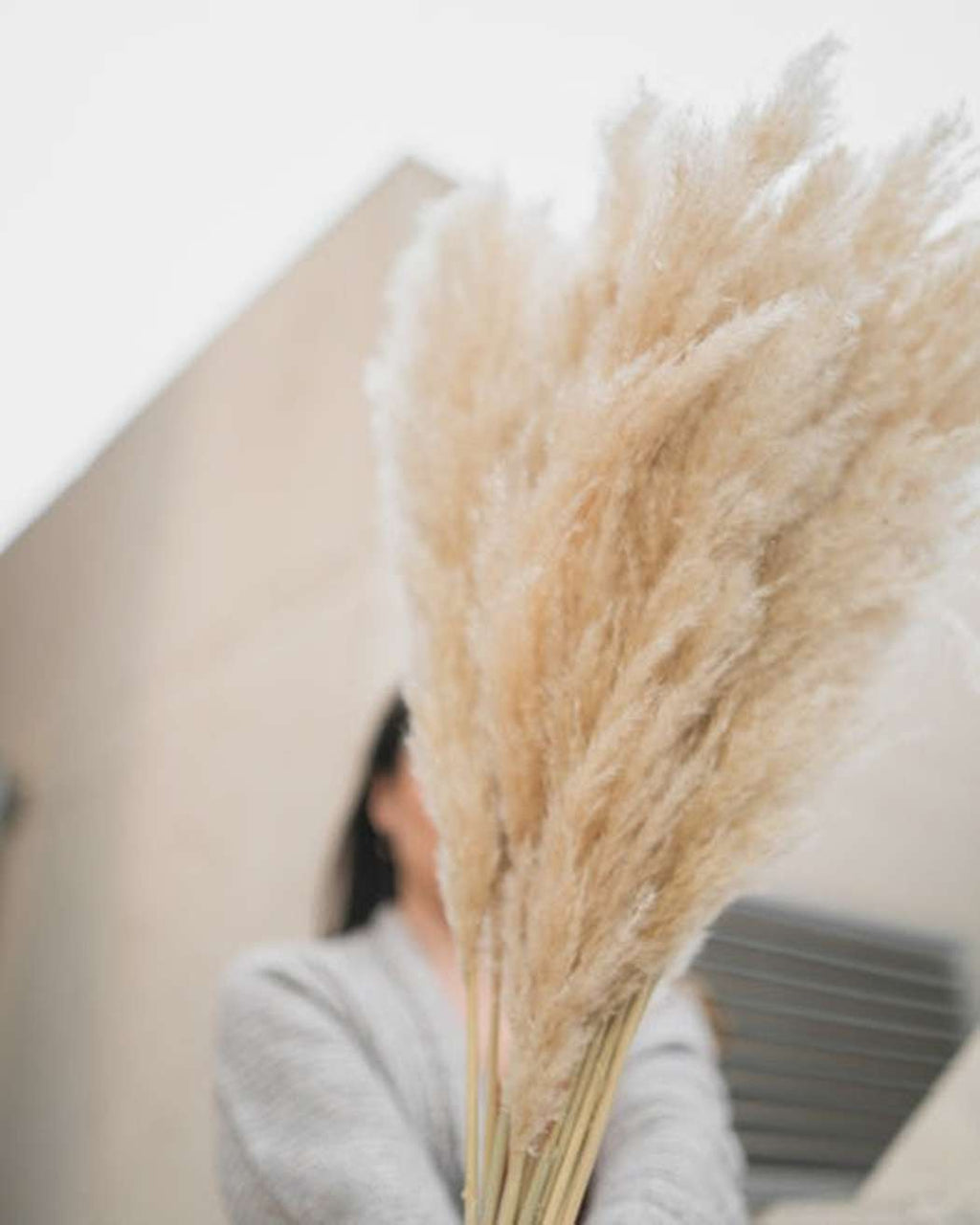 Tuscan Desert Cream Beige Extra Fluffy Pampas Grass-3