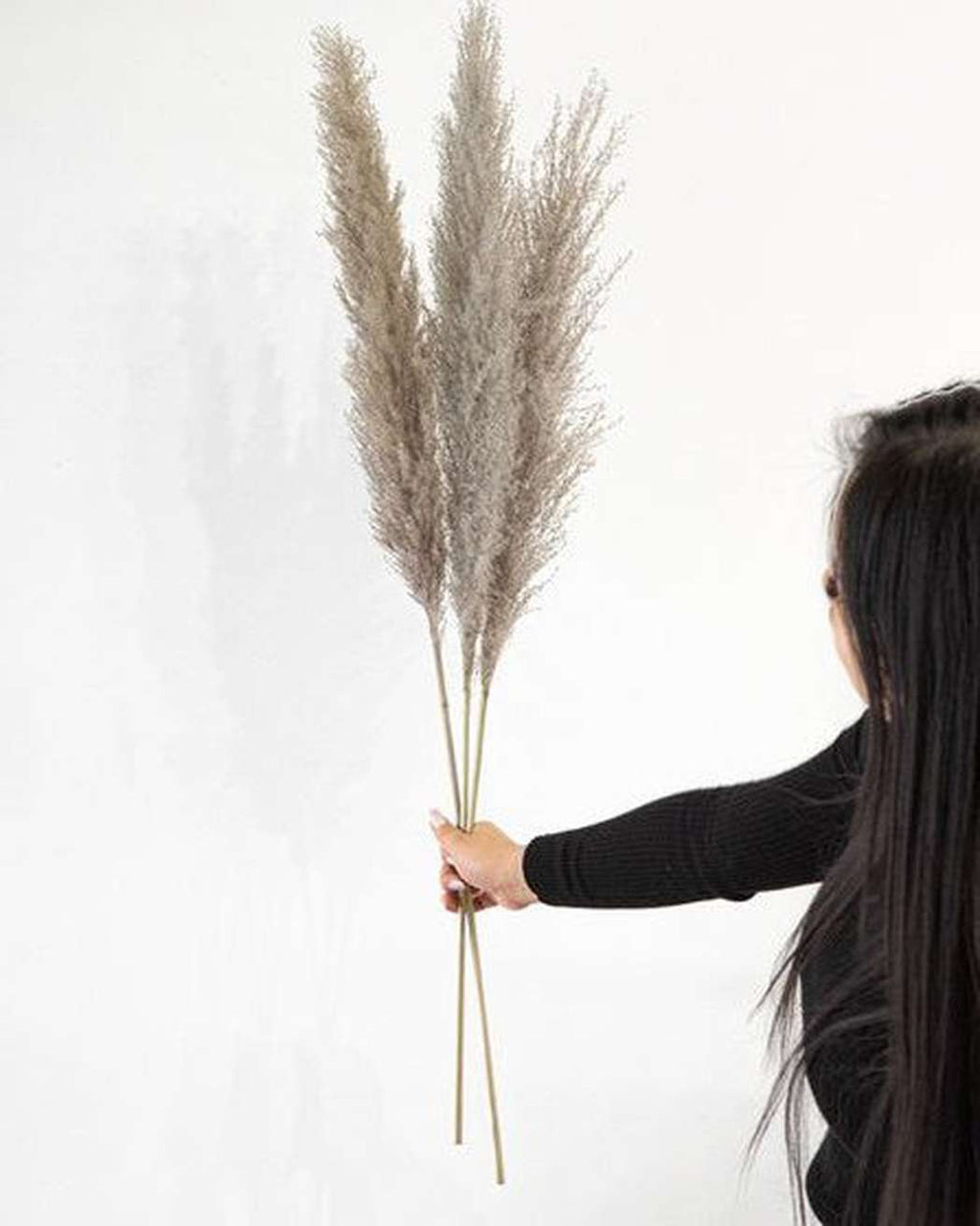 Cool Grey Pampas Grass-5