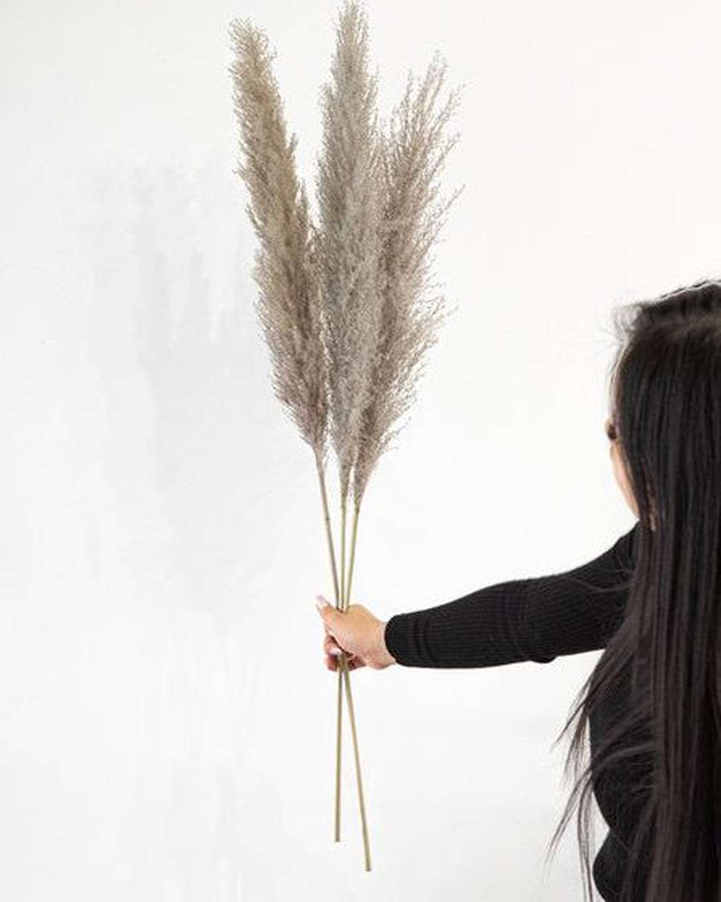 Cool Grey Pampas Grass-5