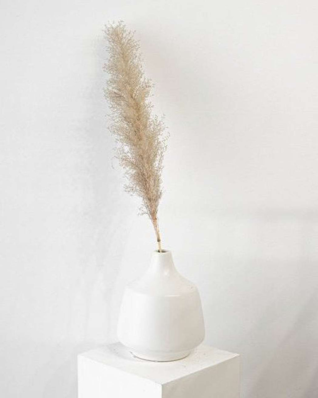 Cool Grey Pampas Grass-4