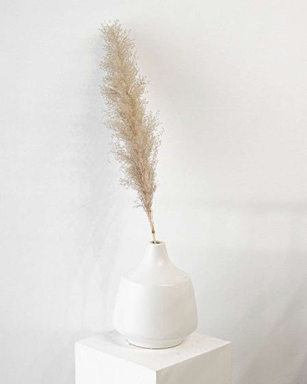 Cool Grey Pampas Grass-4