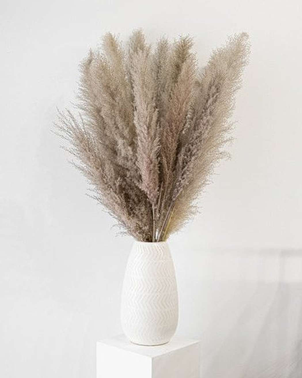 Cool Grey Pampas Grass-1