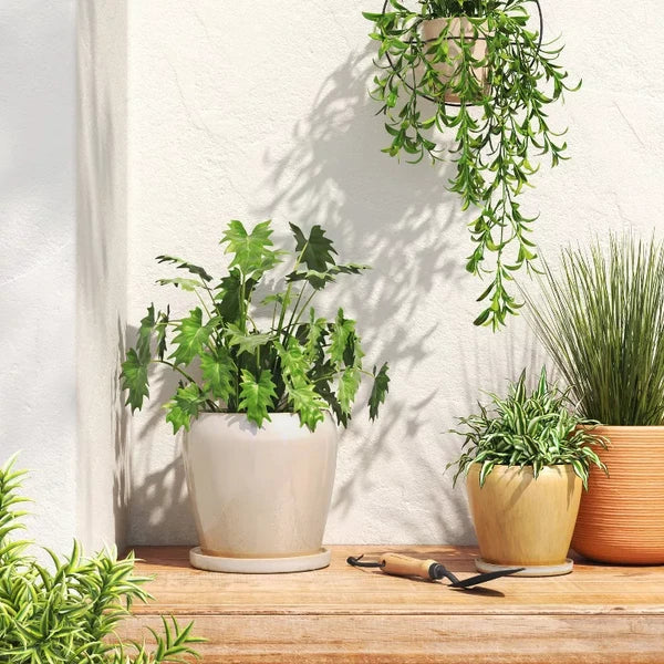 Ceramic Planter with Reactive Glaze – Beige, 6″