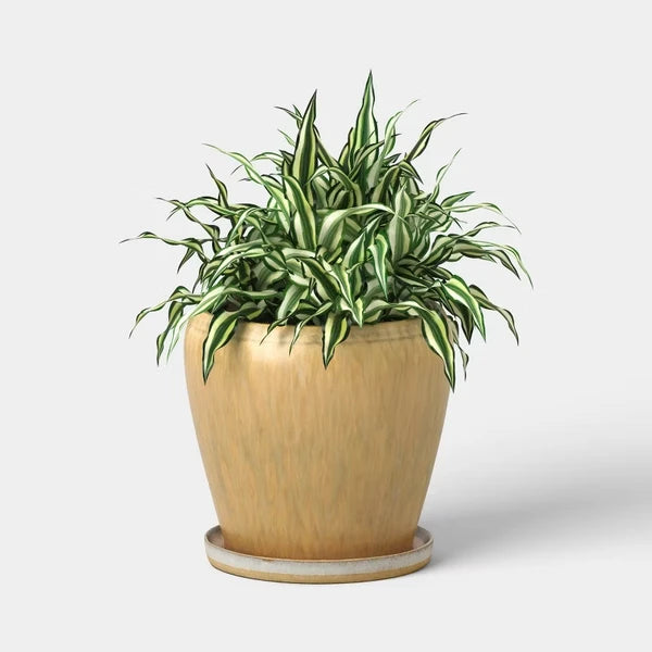 Ceramic Planter with Reactive Glaze – Beige, 6″