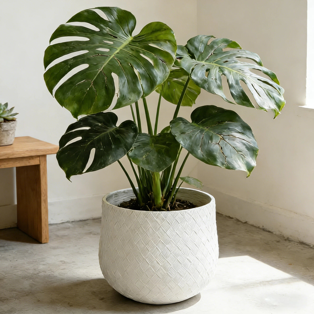 Set of 3 Woven-Texture Round Planters – White
