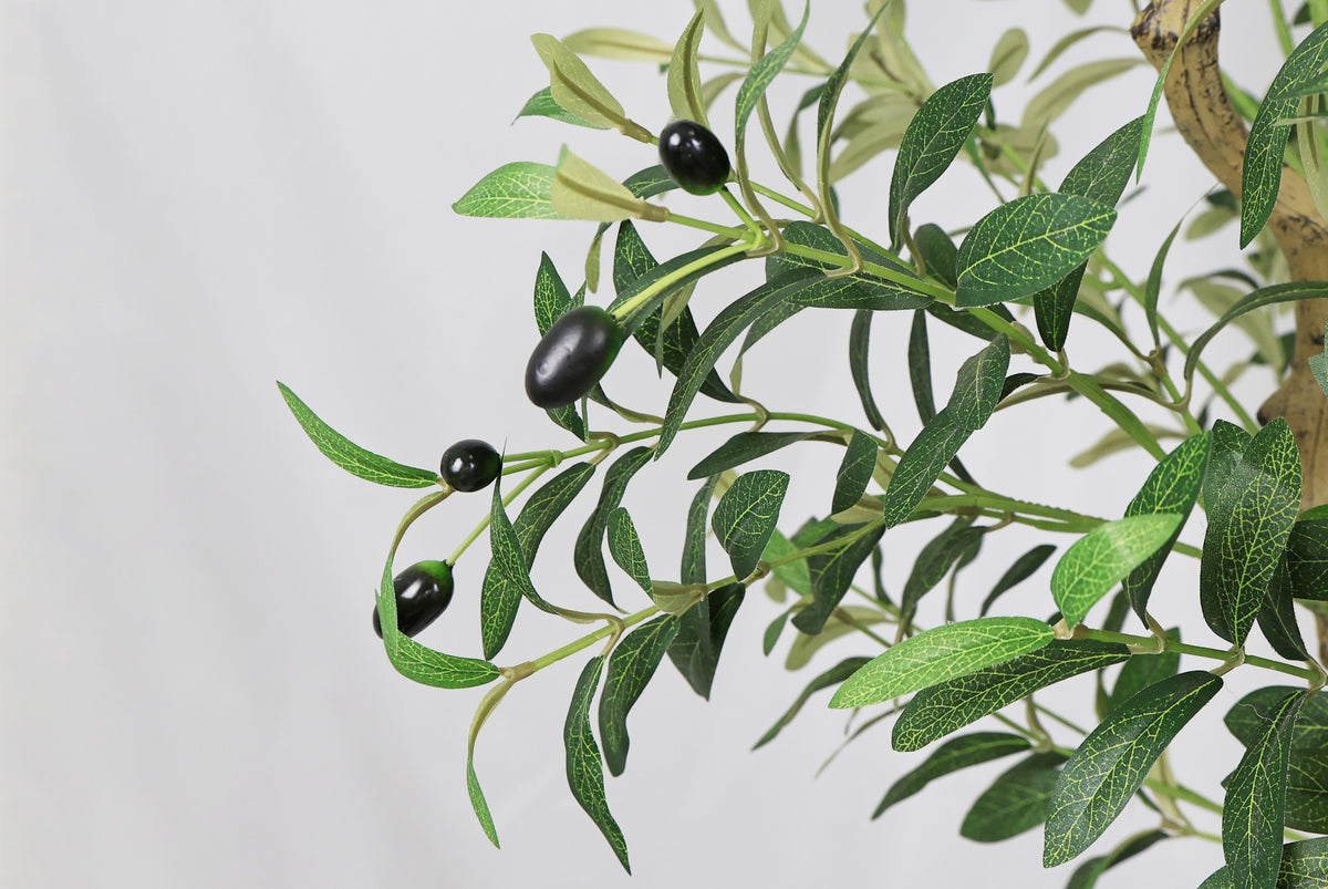 8′ Artificial Olive Tree with Natural Trunk