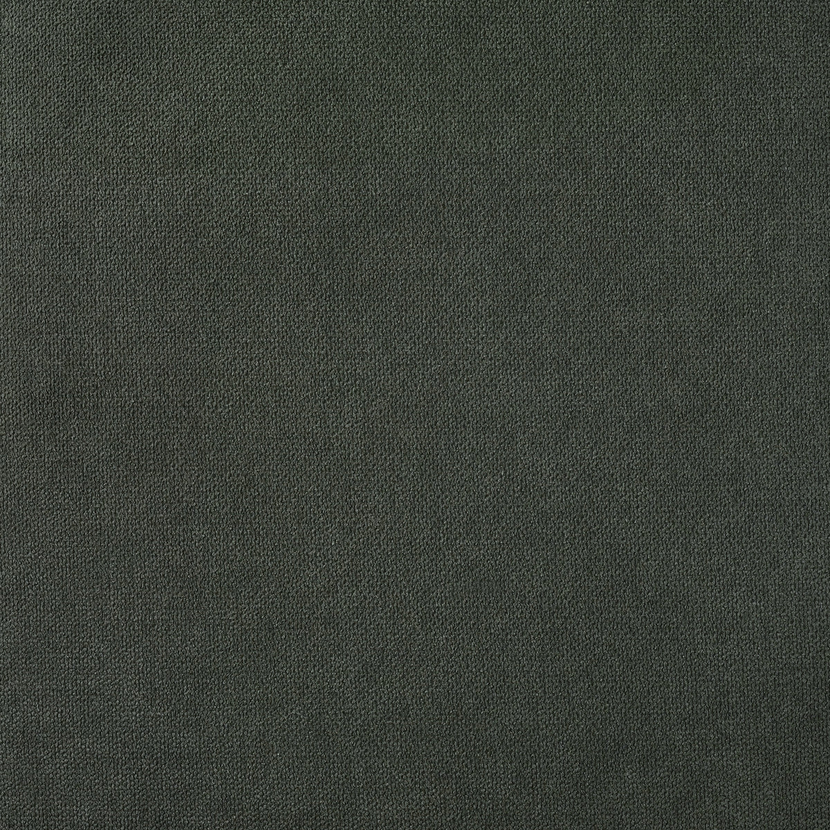 c31b764a71551c8fafc4b148c21b0c6e