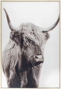Paratinga Wall Decor-0